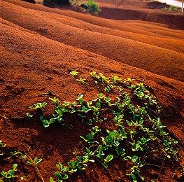 《战国无双5》IGN评7分：呈现全新风格吸引玩家